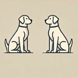 curiosidades sobre los perros labrador que te sorprenderan