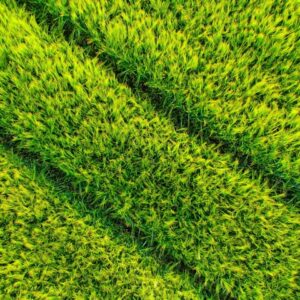 Reparar el cesped artificial