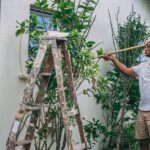 reformas de jardin
